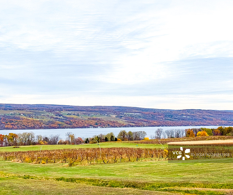 杜伦迪附近的塞内卡湖葡萄藤和景观图片素材