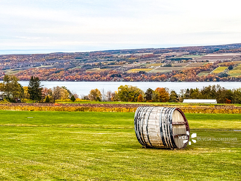 大型葡萄酒桶、葡萄藤以及邓迪附近的塞内卡湖景观图片素材