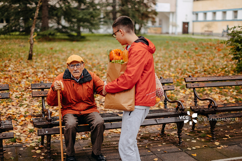 少年帮爷爷提着纸袋装的杂货，并扶爷爷站起来图片素材