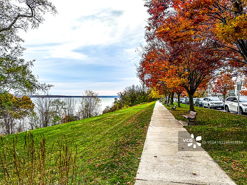 长直人行道，两旁是树木、草坪，远处是纽约日内瓦的塞内卡湖图片素材