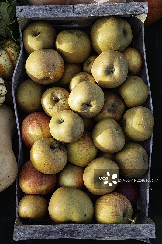 法国 2025 苹果图片素材