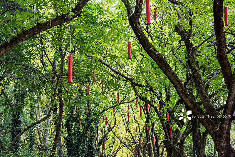 图卢兹公园里挂着红灯笼的林荫道图片素材