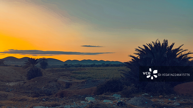 日落时分，山地景观，棕榈树剪影，天空色彩绚丽图片素材