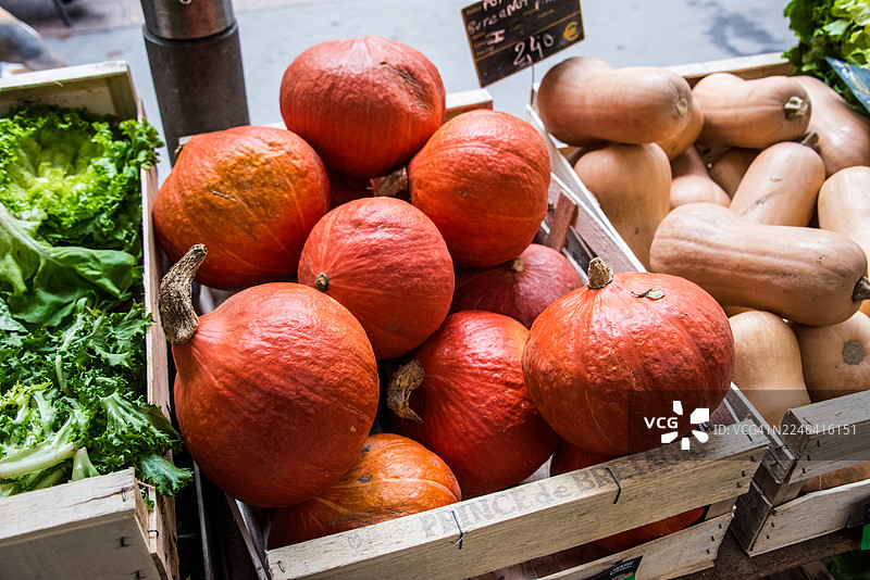 图卢兹卡尔梅市场上的红栗南瓜和冬南瓜图片素材