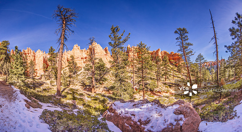 冬季国家公园的远景，树木和岩层覆盖着薄雪，位于美国埃斯卡兰特，布莱斯峡谷国家公园图片素材