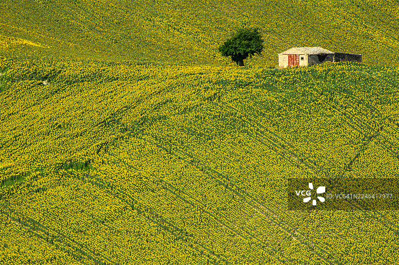 俯瞰意大利莫罗瓦莱一个有小建筑和树的农田图片素材