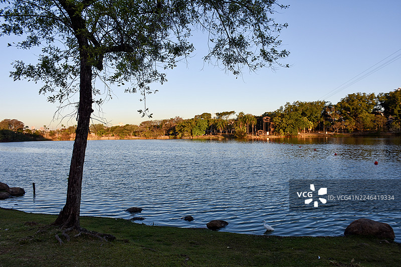 巴西坎皮纳斯宁静的湖景，绿意盎然，天空晴朗图片素材