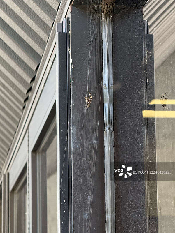 特写镜头：蜘蛛在其网中，网位于金属门框上，展示了错综复杂的细节和纹理图片素材