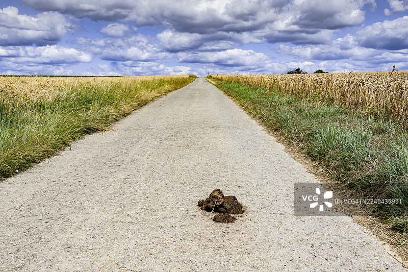 乡村田野中的马粪图片素材
