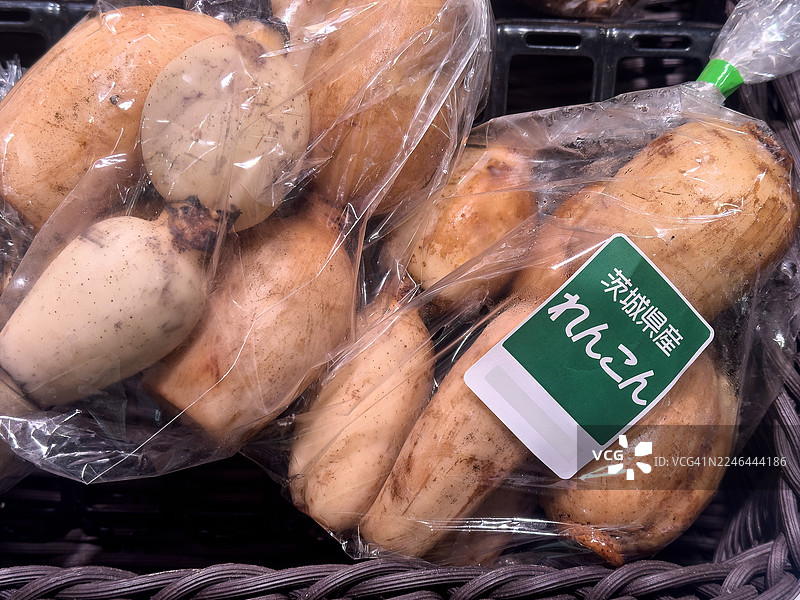 茨城县产莲藕图片素材