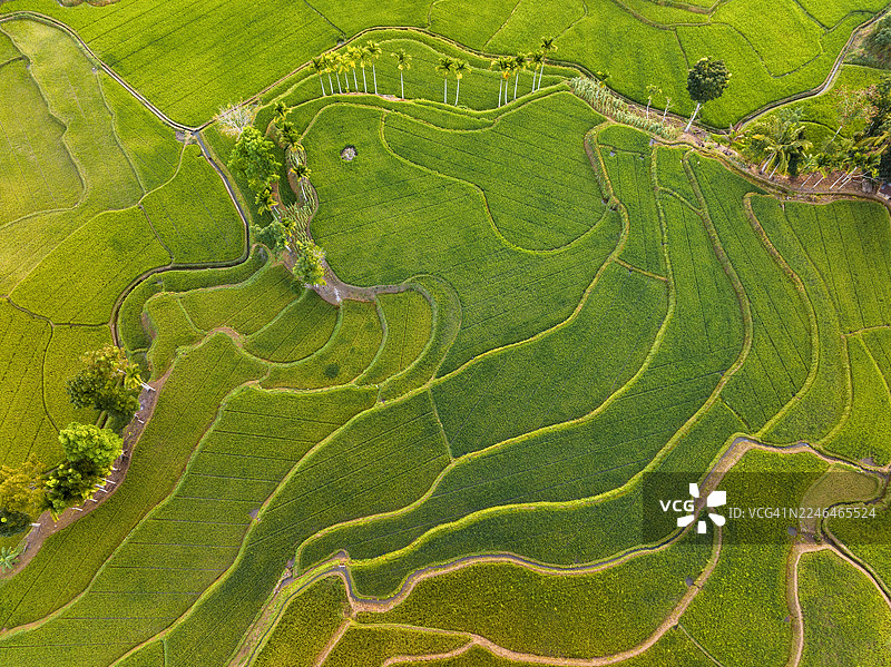 小小卡丘拉：绿松石色的瀑布与充满活力的松巴岛梯田相遇。图片素材