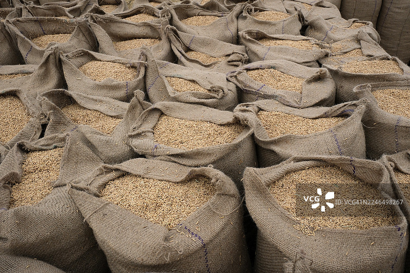 麻袋装的稻谷图片素材