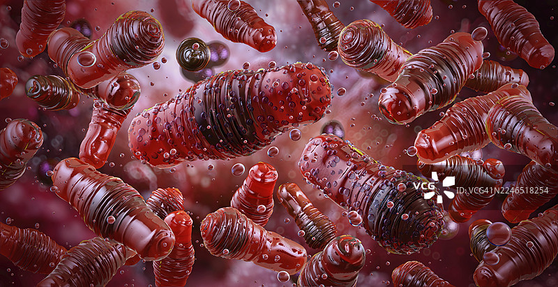 产气荚膜梭菌细菌，插画图片素材