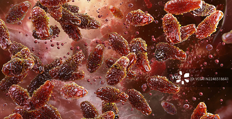 肉毒杆菌，插画图片素材