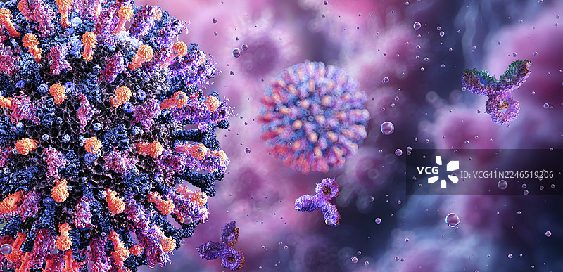 人类偏肺病毒，插画图片素材