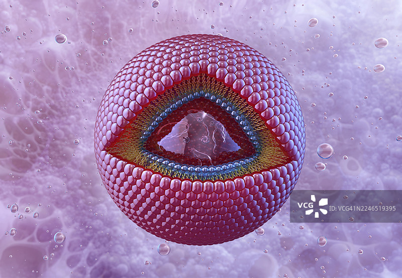 脂质体，插画图片素材