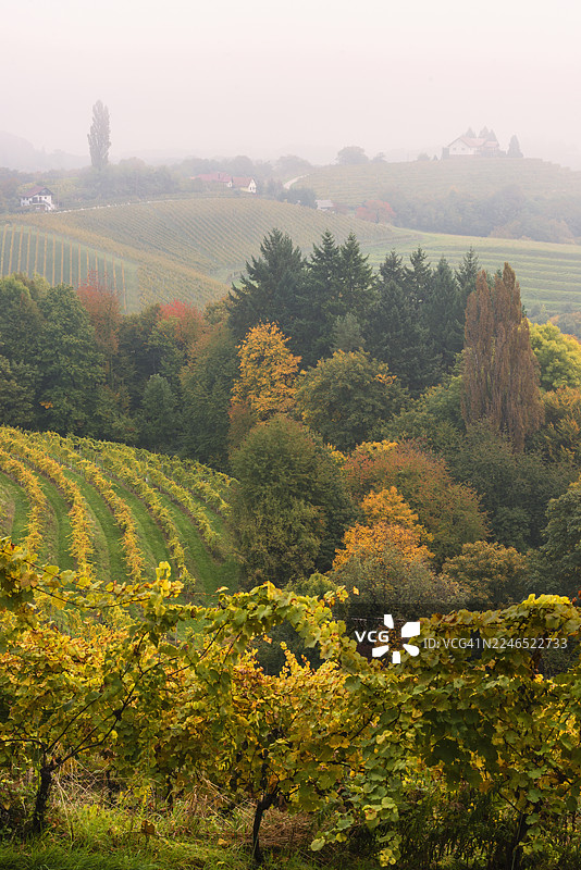斯洛文尼亚葡萄酒产区耶卢扎勒姆的秋季景色图片素材
