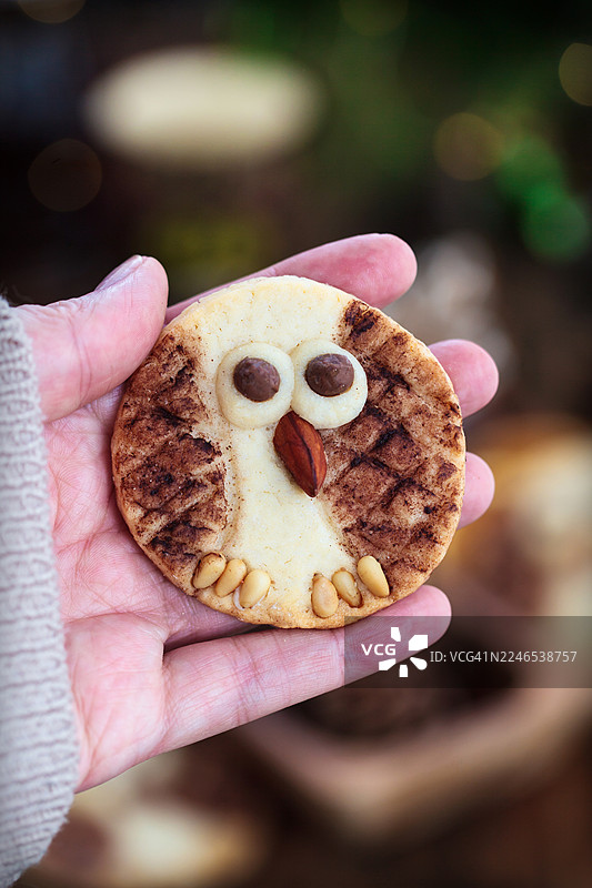 圣诞节的可爱猫头鹰形状的黄油饼干，放在乡村木质背景上图片素材