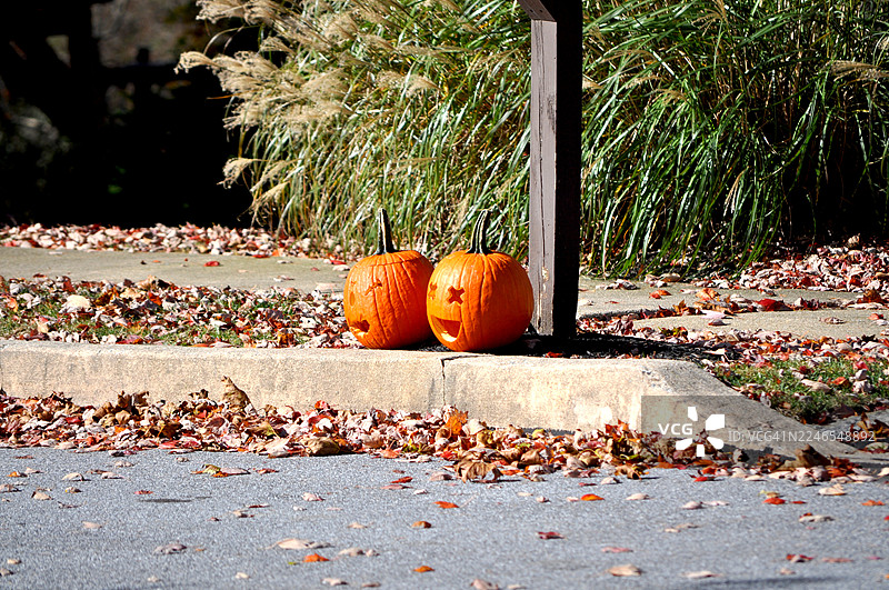 雕刻的南瓜图片素材
