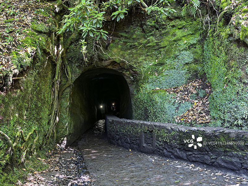 游客手持手电筒，从马德拉岛一条穿越山间小径的隧道中走出。“Levada do Caldeirão Verde”图片素材