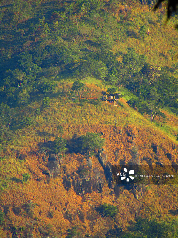 秋季森林山坡高角度视图，有树木和干草，坡上有一个小型建筑，斯里兰卡巴杜勒，巴杜勒南部图片素材