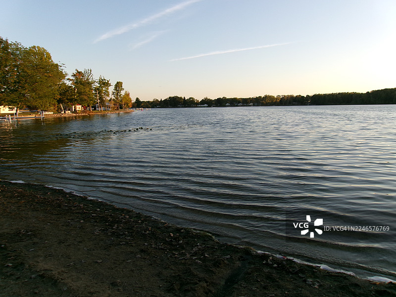 美国奥兰多，晴朗天空下的湖泊景致，湖岸绿树成荫图片素材