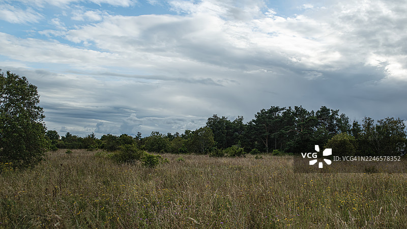 爱沙尼亚穆拉斯泰，广阔的草地，背景是茂密的森林，天空阴沉多云图片素材