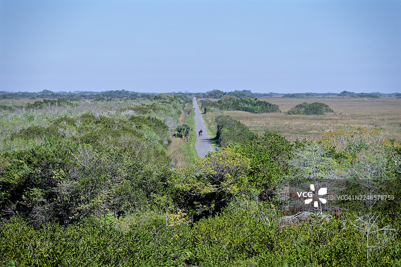 我出发去探索大沼泽地国家公园。图片素材