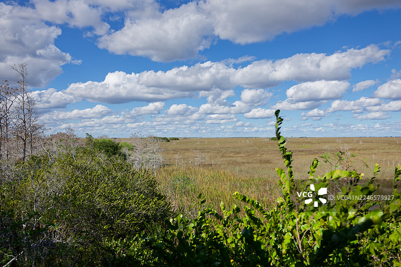 让大自然宠爱我：埃弗格莱斯国家公园掠影图片素材