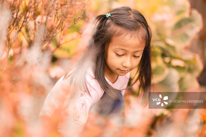 可爱的小女孩在花园里低头看樱花图片素材