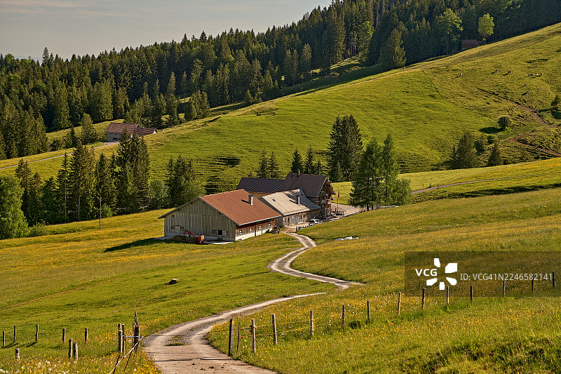 一条蜿蜒的土路通向坐落在郁郁葱葱的绿色山谷中的房屋，周围是森林覆盖的山丘，天空晴朗。图片素材