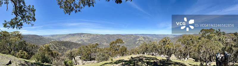 广阔的澳大利亚风景全景，展示了明亮的蓝天下连绵起伏的山丘和茂密的桉树林，位于巴瑟斯特地区，希尔恩德，澳大利亚。图片素材