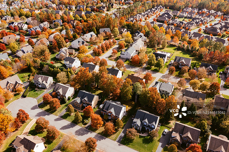美国郊区住宅的鸟瞰图图片素材