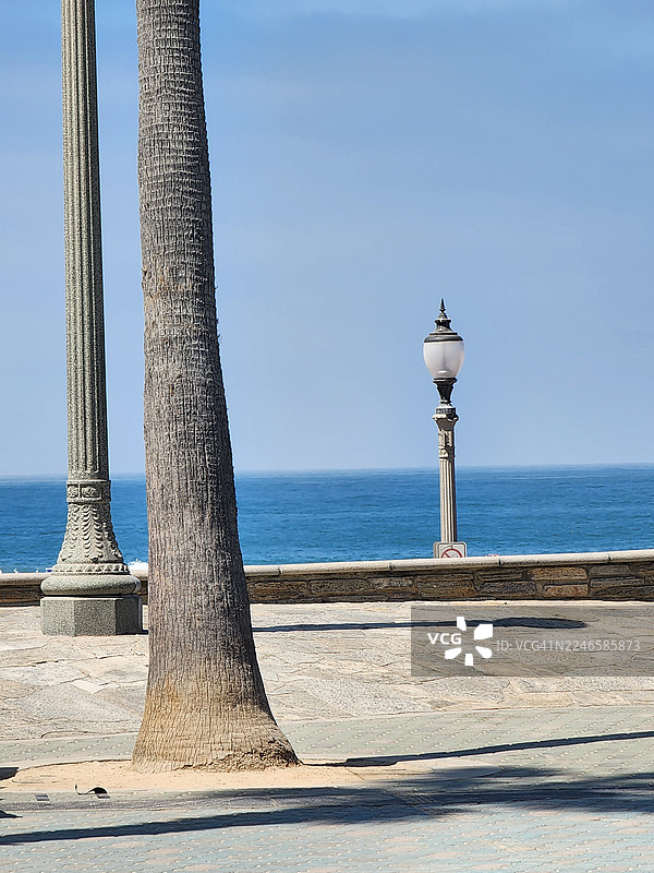 晴天时，海边的棕榈树和路灯，美国亨廷顿海滩图片素材