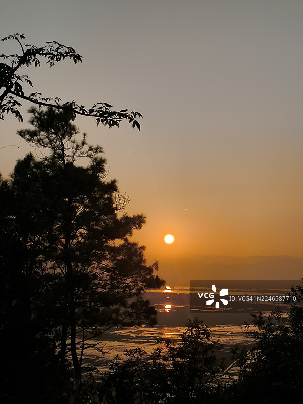 水面上方橙色日落的树木剪影，带有倒影图片素材