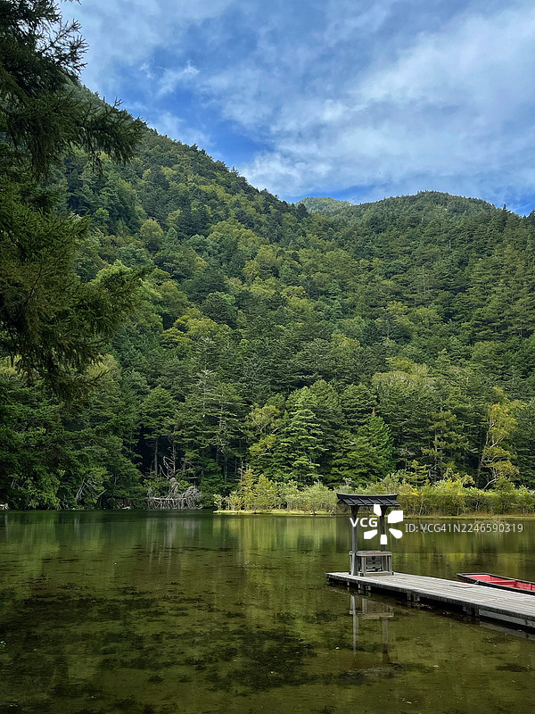日本安昙湖畔的宁静湖泊，木制码头和葱郁的森林在蓝天下构成风景画图片素材
