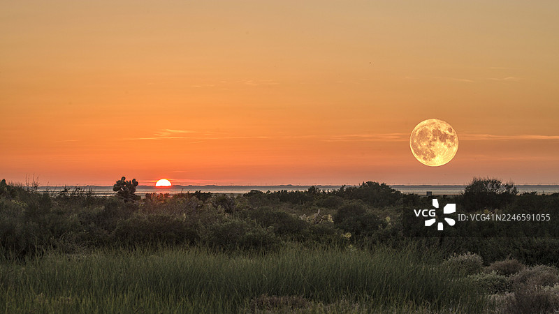 西班牙圣费尔南多，黄昏时分，月圆与落日映照下的葱郁大地图片素材
