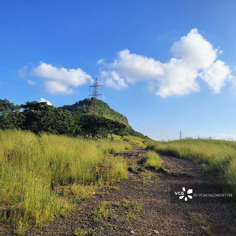 印度马纳利，蓝天下，长满青草的山坡，一条土路蜿蜒伸向远处的山峦和电线图片素材