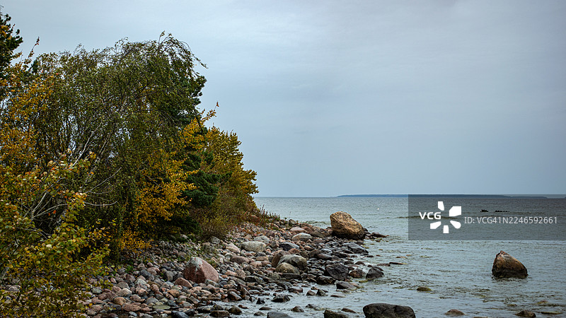 爱沙尼亚塔林帕尔亚萨雷大道的岩石海岸和平静大海的风景，天空多云图片素材