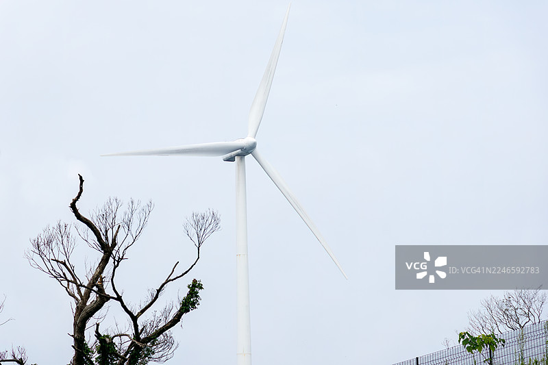 南伊豆的山口公路——层云峡线。一条崎岖的山路穿过茂密葱郁的森林,绵延约10公里。沿途有小神社和大型风力发电厂的设施。图片素材