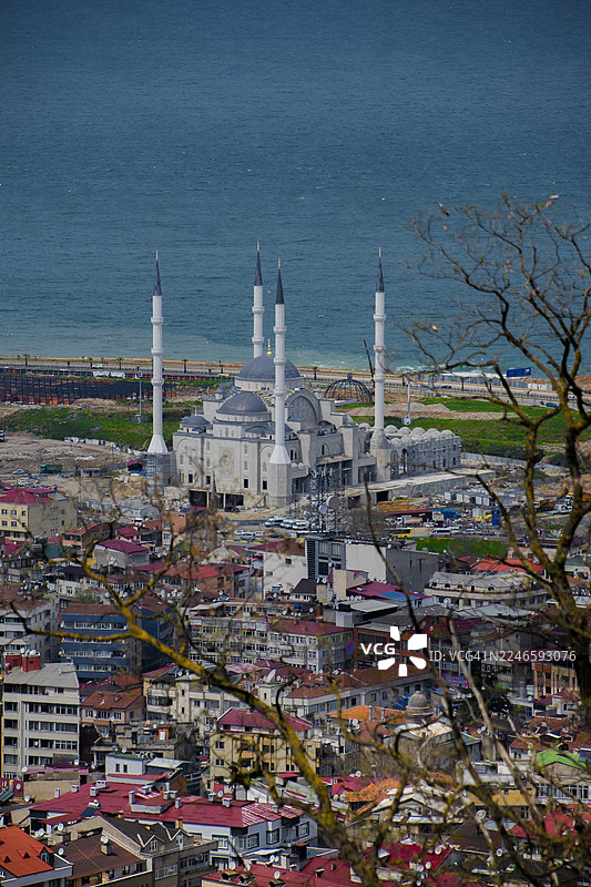 高角度俯瞰海边的城市，一座大型清真寺正在建设中，画面由光秃的树枝框起图片素材