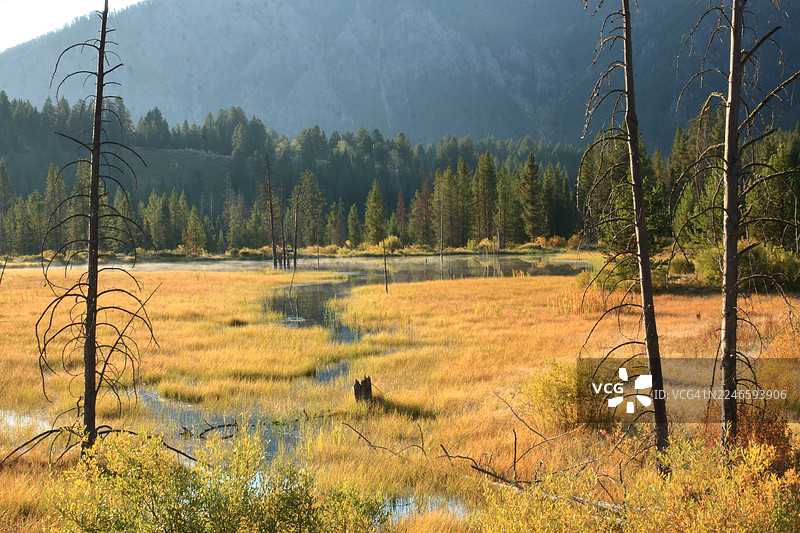 美国马迪逊县田野秋季树木的美景，天空背景图片素材