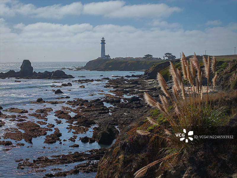 多云天空下，岩石海岸上的灯塔，前景是蒲苇，美国，美利坚合众国图片素材