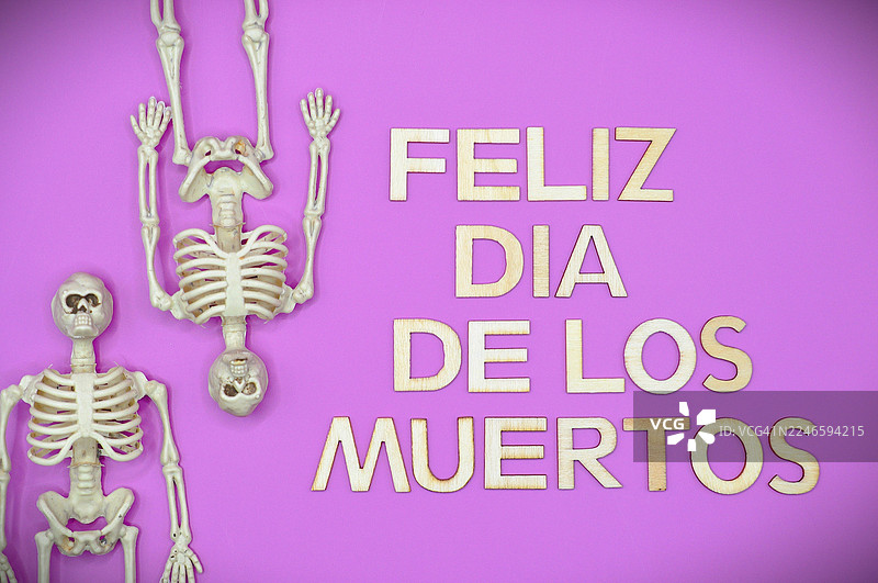 亡灵节快乐，背景为充满活力的粉色，上面有骷髅，庆祝亡灵节图片素材
