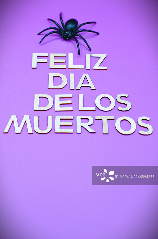 亡灵节快乐文字，背景为紫色，上面有一只蜘蛛图片素材