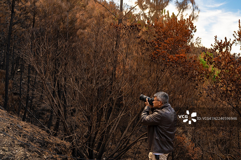 摄影师在森林火灾后拍摄皮奥当图片素材