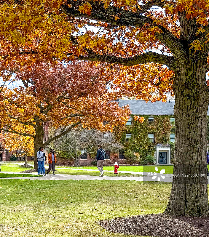 纽约州日内瓦市，霍巴特和威廉史密斯学院校园里的学生们图片素材