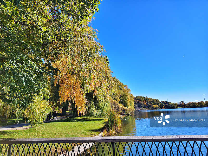 秋天的缤纷色彩 / 格林纳迪尔池塘 / 位于多伦多海公园内的大型浅层淡水池塘图片素材