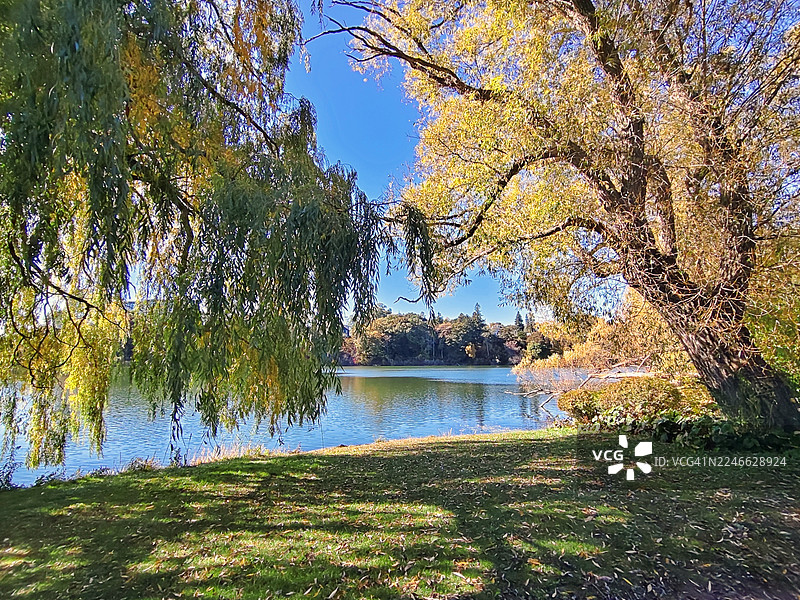 秋季多伦多海德公园格林纳迪尔池塘的惊人色彩图片素材