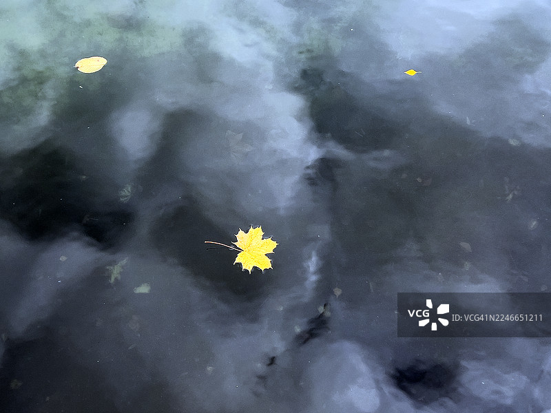 挪威枫叶在湖上，挪威枫树图片素材